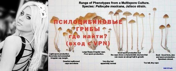 Альфа ПВП Арсеньев
