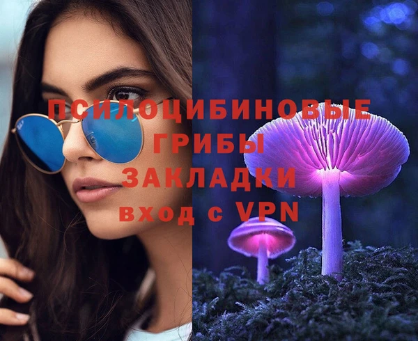 Альфа ПВП Арсеньев